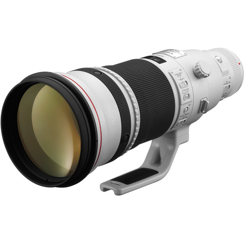 Canon EF 500mm f/4L IS II USM - 4